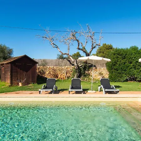 Almendros Cala Ratjada (Mallorca)